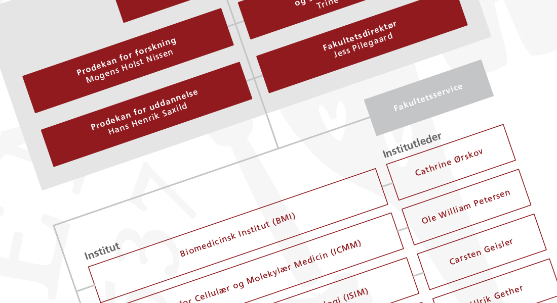 Organisationsdiagram