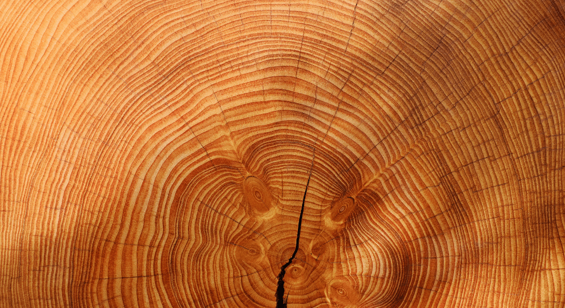 træ og bark