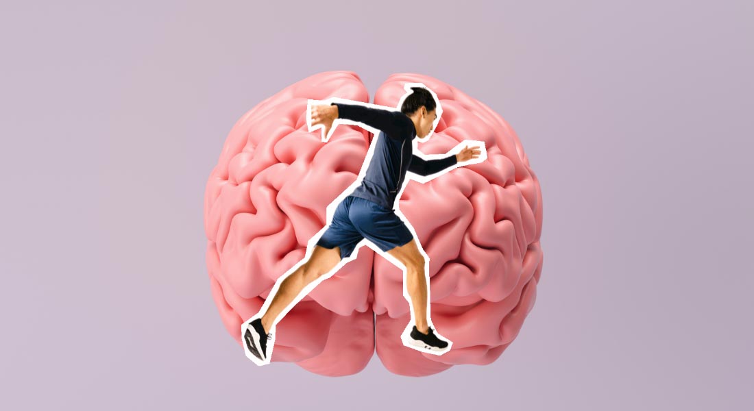 hjerne og motion